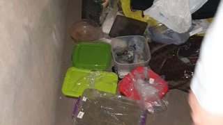 Раскрыт один из самых крупномасштабных случаев незаконного оборота наркотиков и контрабанды наркотиков в Армении: предварительное следствие по части 7 членов преступной группы завершено (фото)